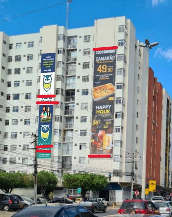 Macaque in the trees