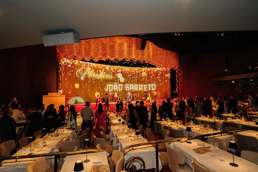 Macaque in the trees