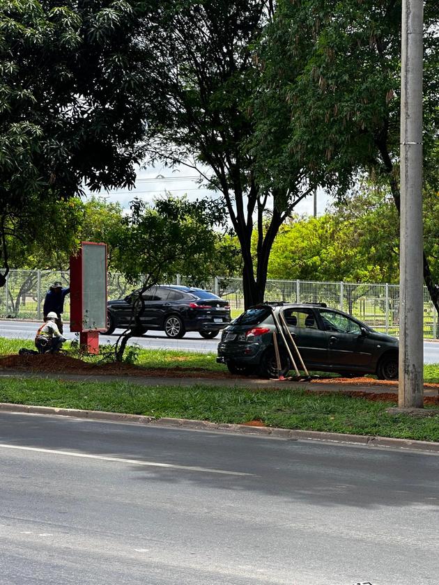 Foto 1: Às 10h38, equipe com pás e escavadeira concluem a instalação elétrica no novo tótem Macaque in the trees