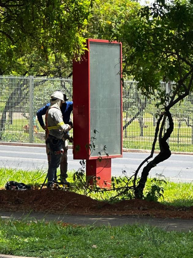 Foto 2: Logo depois, é feita a ligação elétrica com a nova rede Macaque in the trees