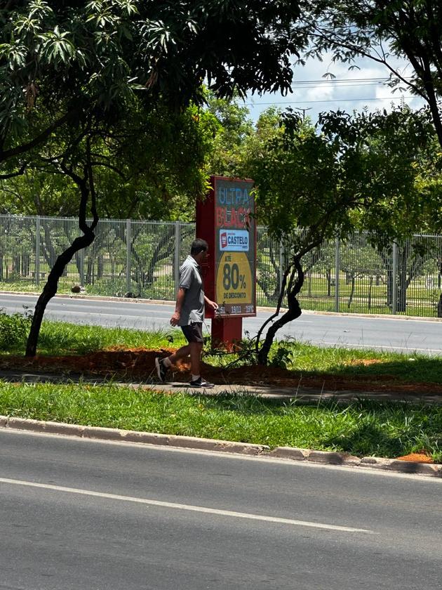 Foto 3: Cinco minutos depois, o painel de LED "ganhou vida" Macaque in the trees