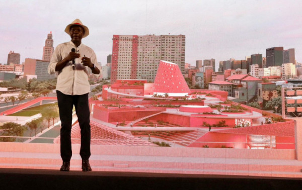 Macaque in the trees