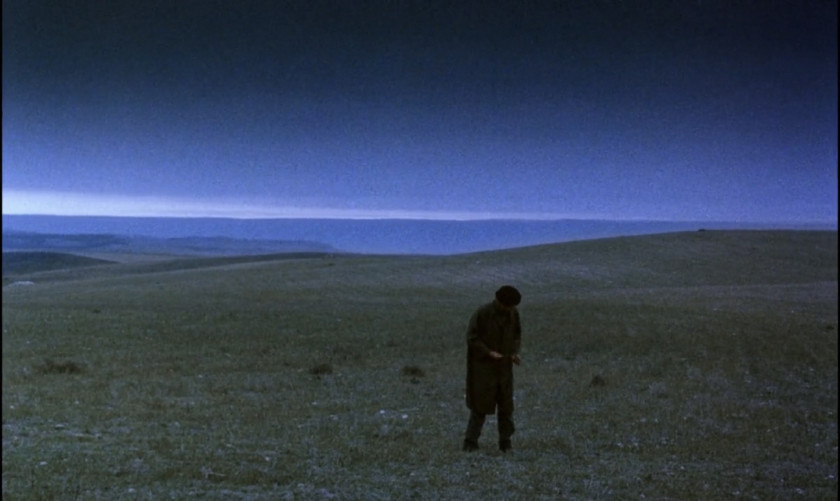 Macaque in the trees