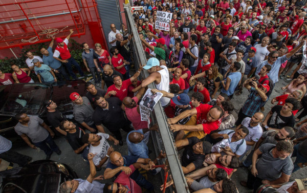 Macaque in the trees