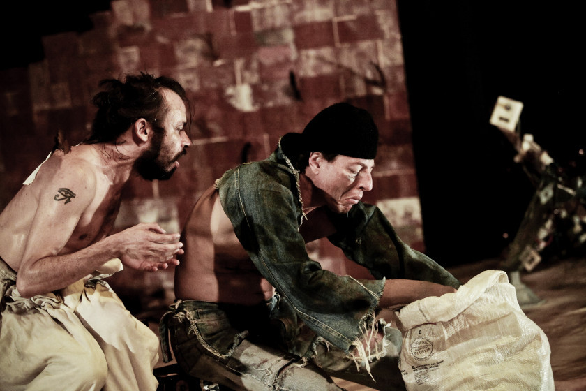 Macaque in the trees