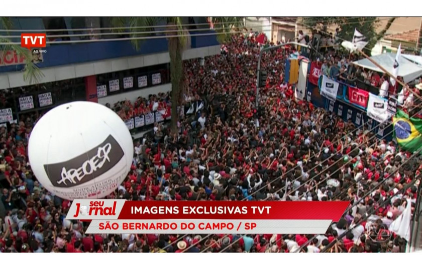 Macaque in the trees