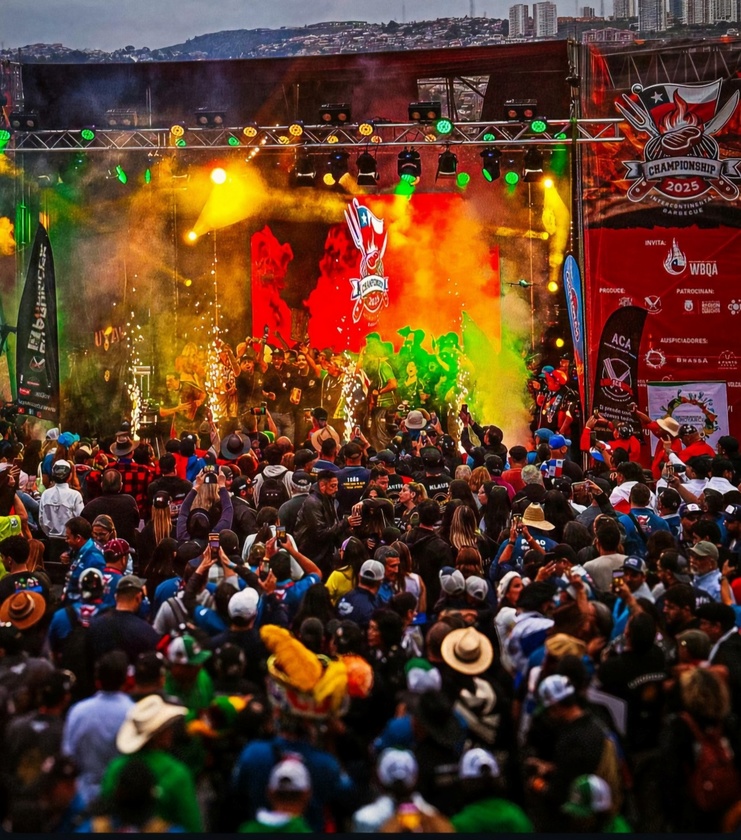 Macaque in the trees