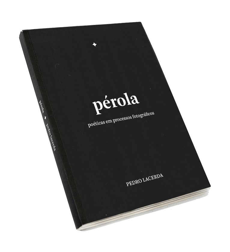 "Pérola" parte da atuação do autor como fotógrafo da cena noturna LGBTQIA+ de Brasília para refletir sobre procedimentos e metodologias de criação Macaque in the trees