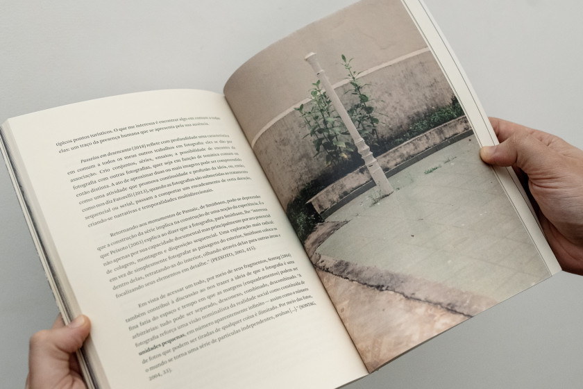 Macaque in the trees