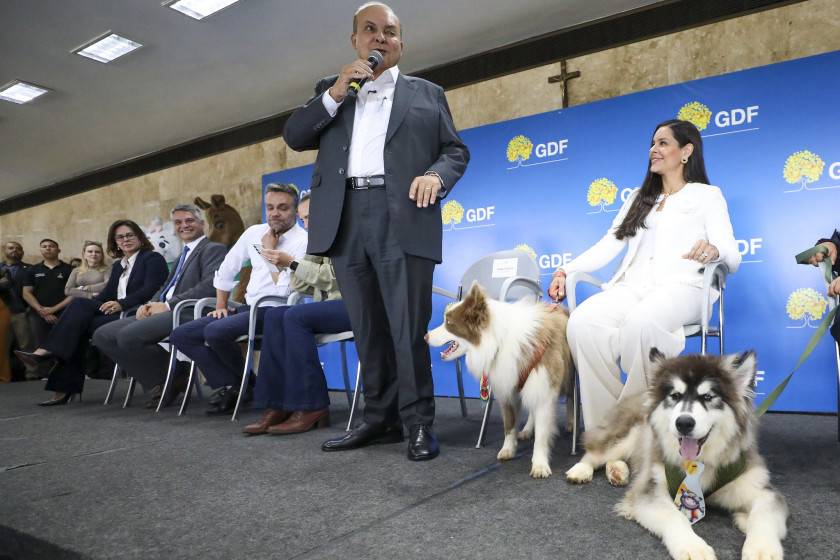 Macaque in the trees