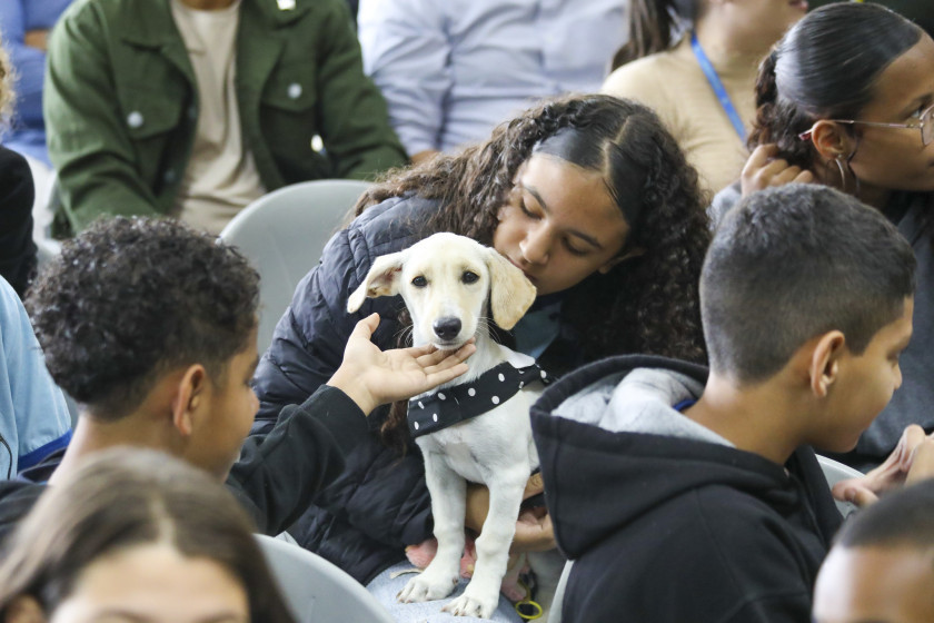 Macaque in the trees