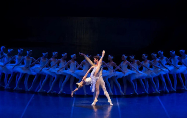 Macaque in the trees