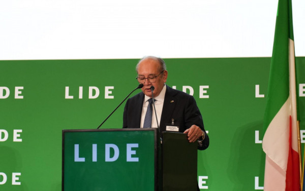 Macaque in the trees