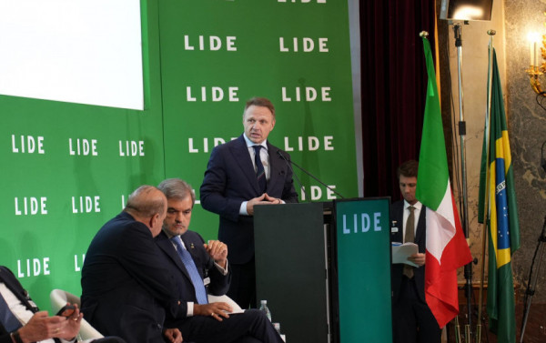 Macaque in the trees