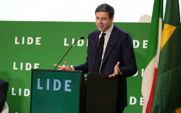 Macaque in the trees