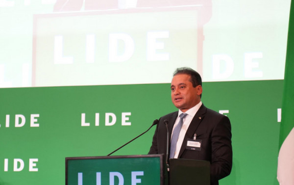 Macaque in the trees