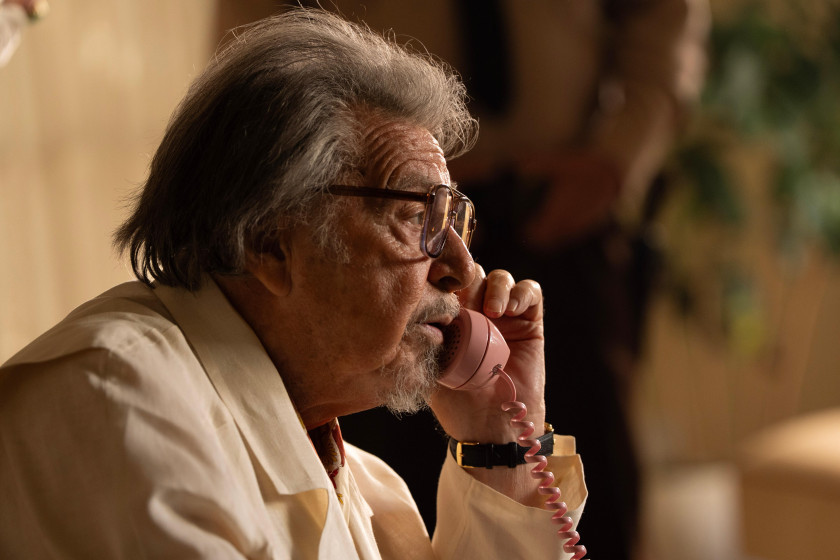 Macaque in the trees