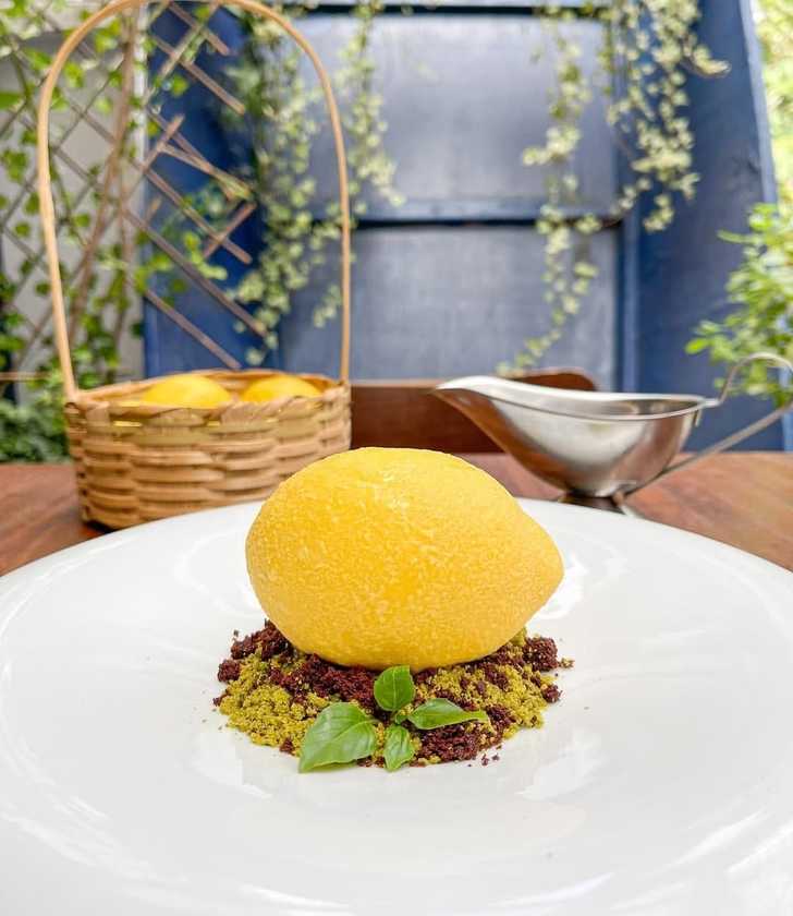 Macaque in the trees