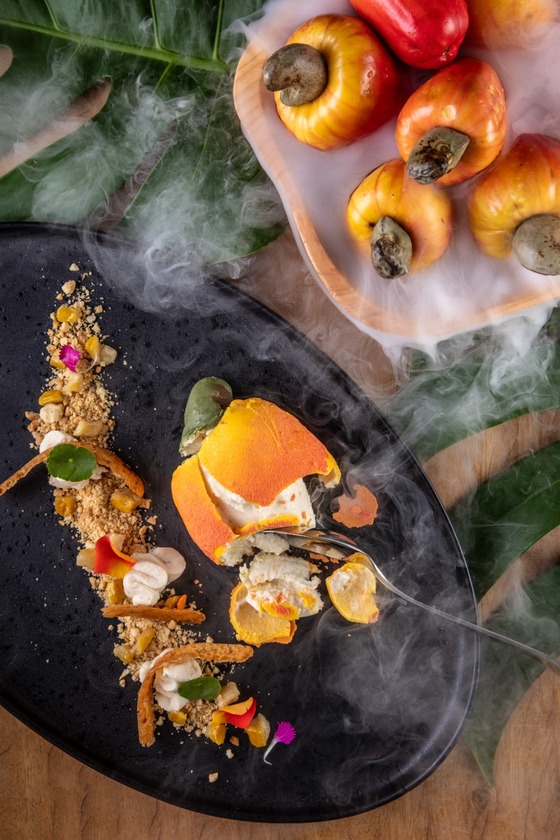 Macaque in the trees