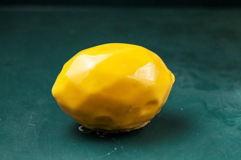 Macaque in the trees