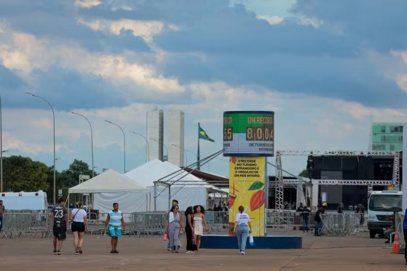 Macaque in the trees