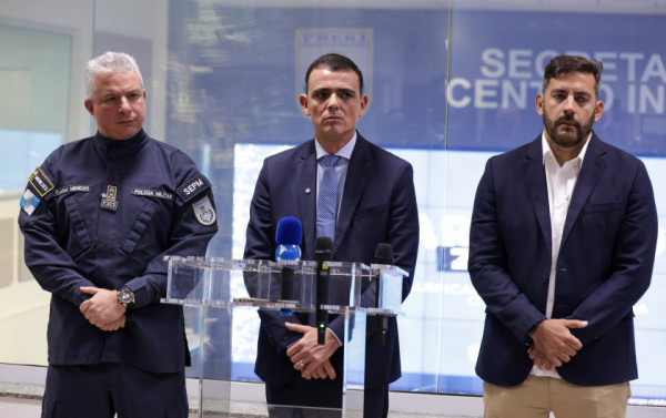 Macaque in the trees