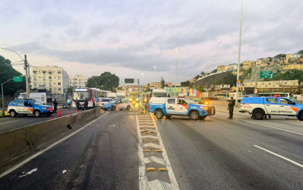 Macaque in the trees