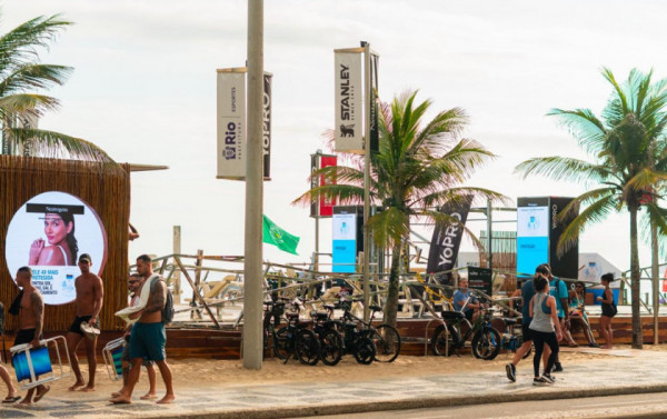 Macaque in the trees