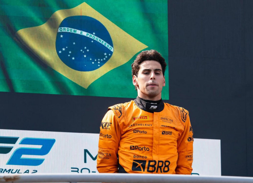 Macaque in the trees