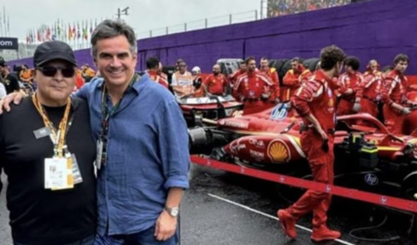 Macaque in the trees