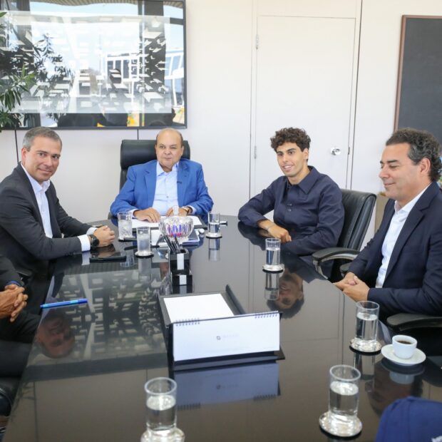 Macaque in the trees