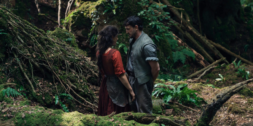 Macaque in the trees