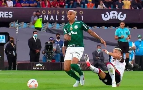 Macaque in the trees