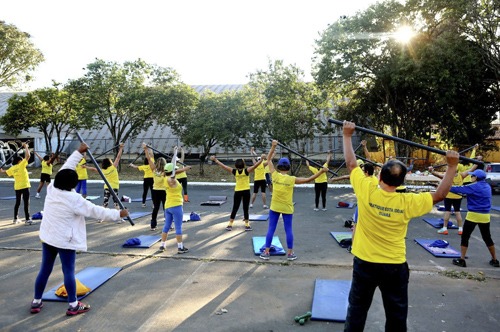 Macaque in the trees