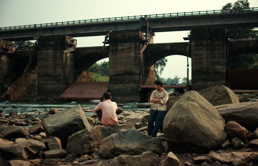 Macaque in the trees