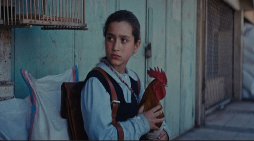 Macaque in the trees