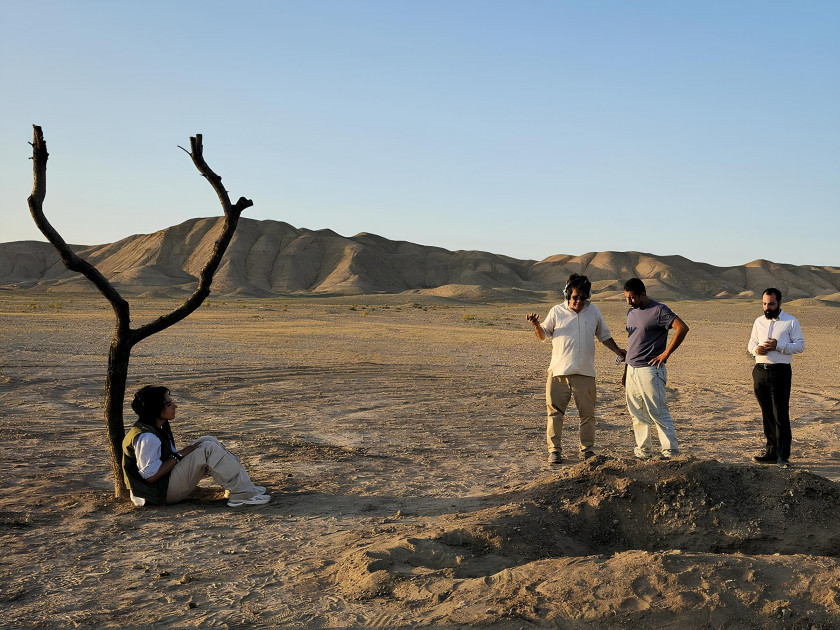 Macaque in the trees