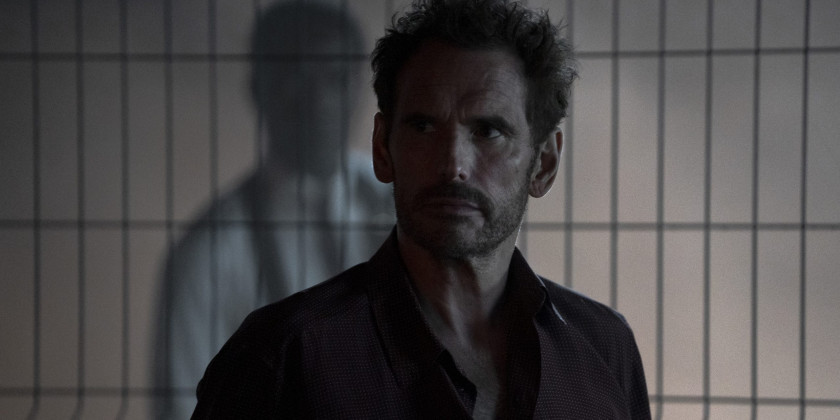 Macaque in the trees