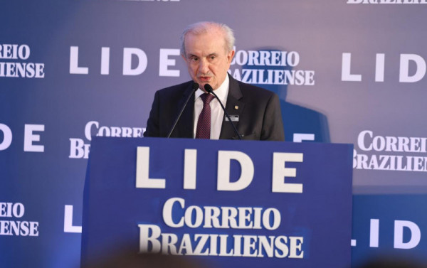 Macaque in the trees