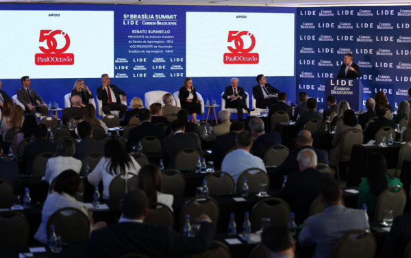 Macaque in the trees