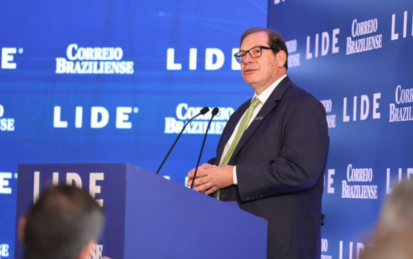 Macaque in the trees