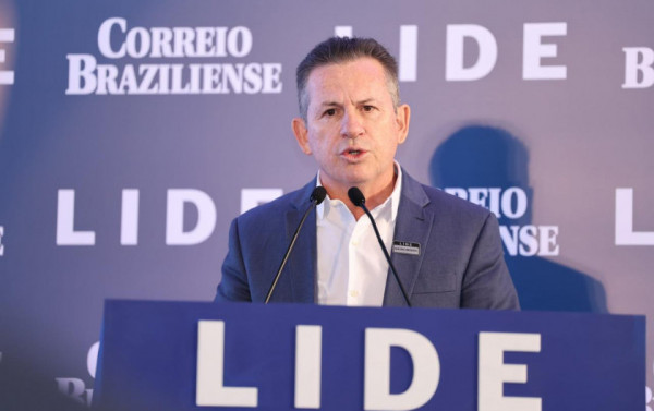 Macaque in the trees