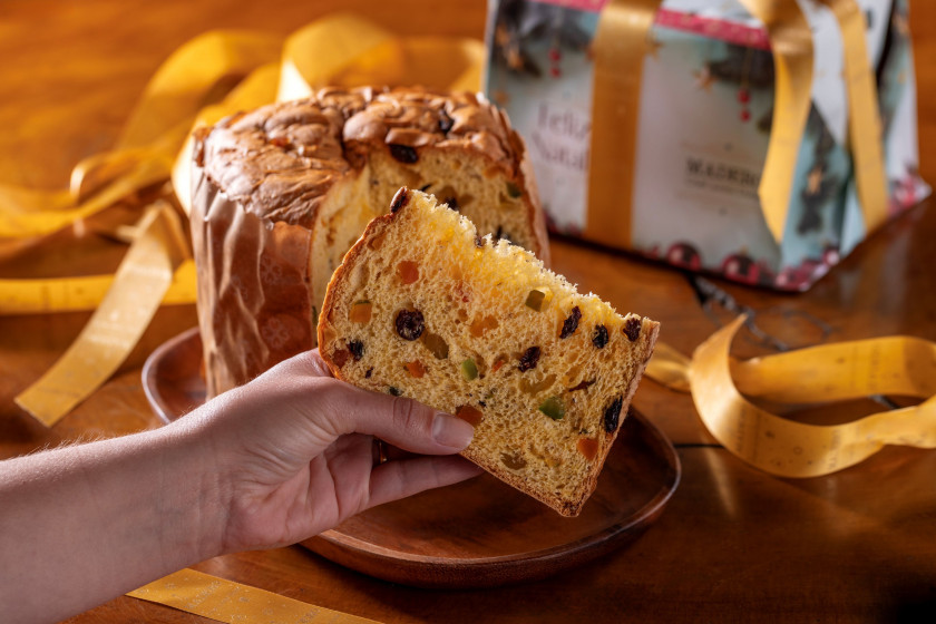 Macaque in the trees