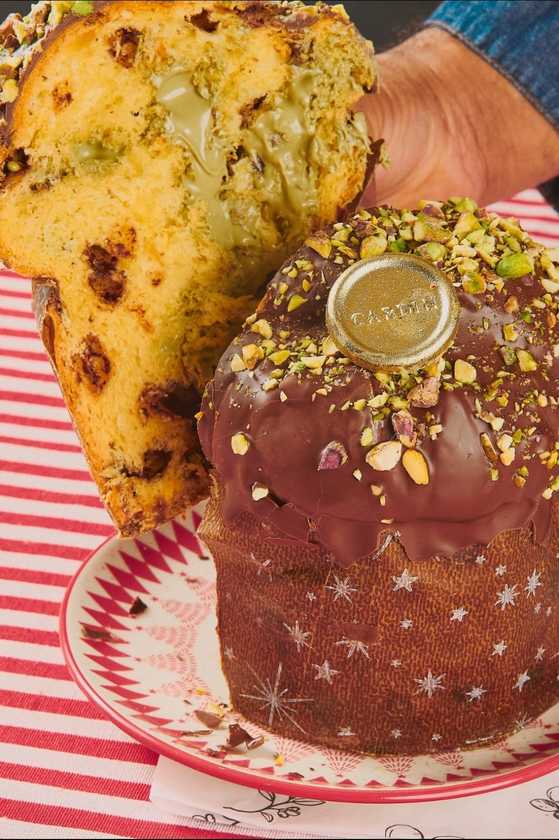 Macaque in the trees