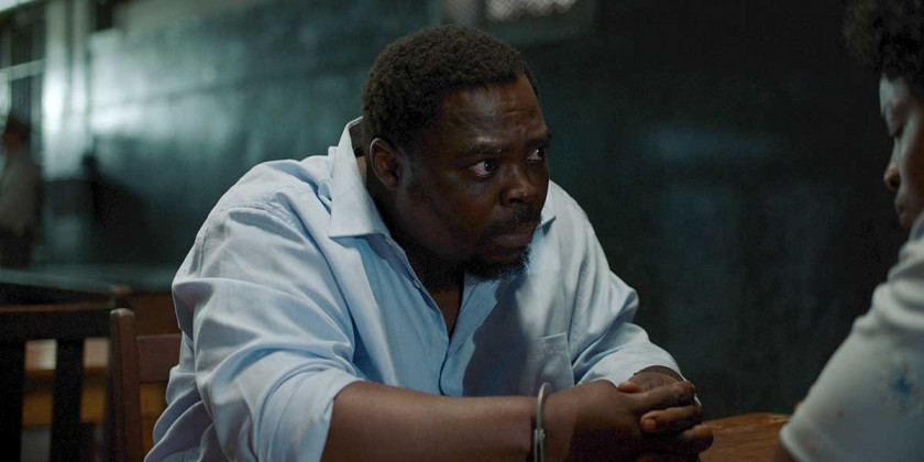 Macaque in the trees