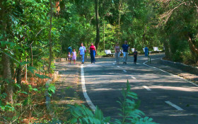Bosque dos Jequitibás estará aberto na segunda, 8, feriado da padroeira de Campinas