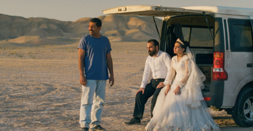 Macaque in the trees