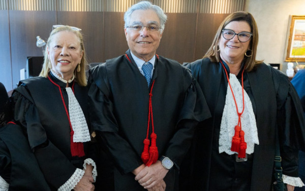 Macaque in the trees