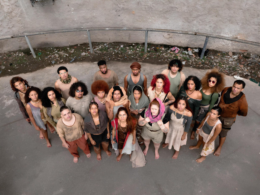 Macaque in the trees