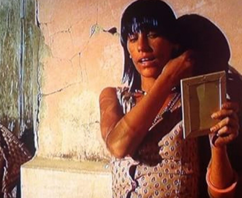 Macaque in the trees